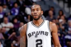 公牛集团603195主力资金净流出分析：短期市场走势考量